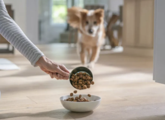 ¿Sabes si tu mascota tiene un peso saludable?