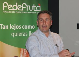 Fruticultura en estado crítico: Problemas logísticos provocaron pérdida del 60% de la fruta enviada. Debió ser botada en los destinos