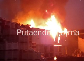 Incendio provoca millonarias pérdidas a agricultor de Putaendo