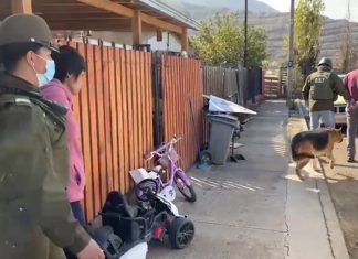 Decomisan más de 150 millones de pesos en droga