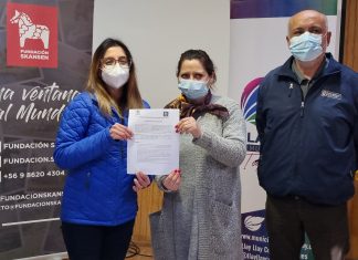 Llay Llay: Municipalidad llevará la cultura a distintos puntos de la comuna