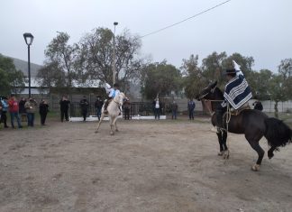 Con singular cueca “equina” continuaron desfiles por aniversario de San Felipe