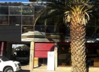 Cierran Oficina Municipal de la Mujer de San Felipe por contagios de Covid 19