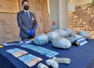 PDI Los Andes desarticula banda que cultivaba y vendía cannabis en Llay Llay