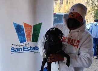 San Esteban: retoman operativos gratuitos de esterilizaciones de mascotas