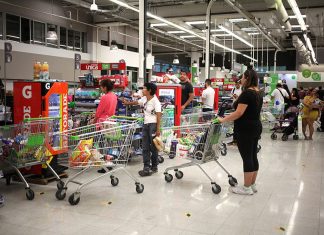 Plebiscito: Qué comercio puede funcionar el domingo