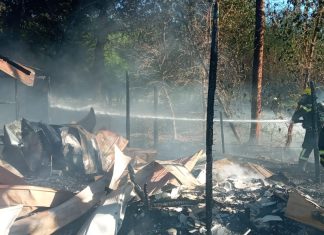 Incendio forestal reduce a cenizas modesta vivienda en Panquehue