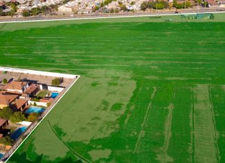 Más 4 mil millones de pesos cuesta terreno en que Colectivo Roosvelt Silva quiere construir 300 viviendas