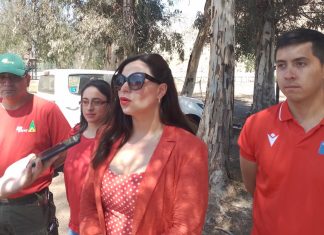 Delegada Valdés: Brigada de CONAF estará operativa hasta fines de abril