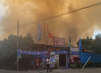 Municipalidad de Panquehue se querella por último incendio forestal