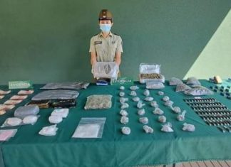 Millonario golpe al narcotráfico en Putaendo y San Felipe