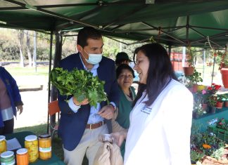 Prodesal Panquehue participa en muestra de Mercados Campesinos