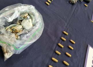 PDI detiene en Los Andes a hombre que comercializaba hongos alucinógenos