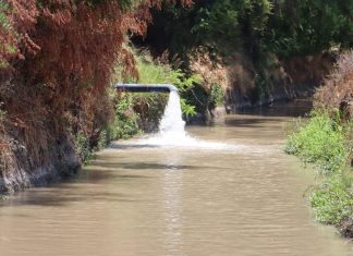 Notable iniciativa de Alcalde de Llay Llay