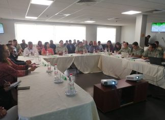 Violencia intrafamiliar y robo de vehículos. Delitos de mayor ocurrencia en San Felipe