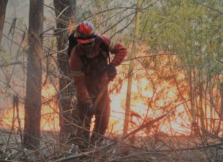 Provincias de Valparaíso, Marga Marga y San Felipe, con alerta temprana preventiva