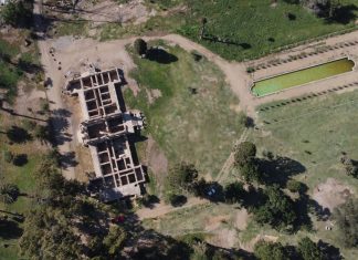 San Felipe: La Vendimia vuelve al Palacio