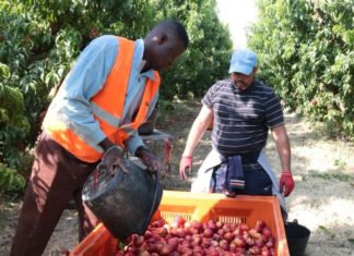 Aumentan denuncias laborales de extranjeros
