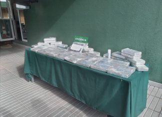 Encuentran más de 46 kilos de cocaína en auto chocado.