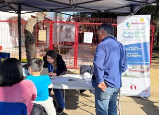 Panquehue en terreno