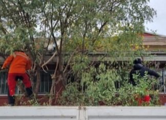 Vivia en un ruco sobre techo de liceo