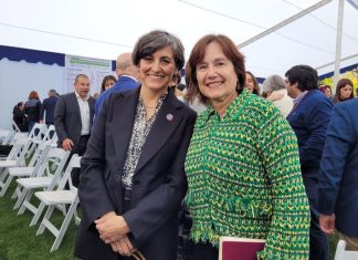 Castillo: Proyectos SAR y CESFAM vuelven a ser licitados