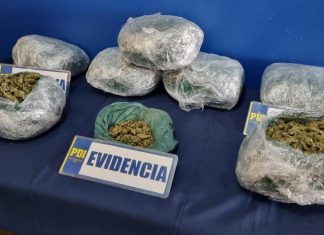 PDI Los Andes desarticula banda que distribuía droga en la zona central