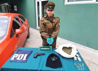 De quién era la droga incautada en Catemu?