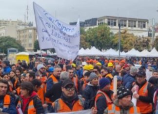 Mundaca se enfrenta al gobierno por Mina Amalia