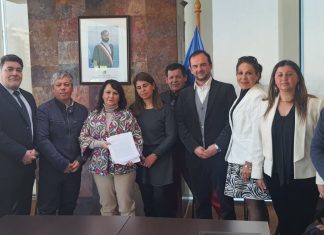 El Lunes 17 se decide futuro de Mina Amalia