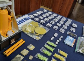 Desbaratan venta de comida “cannábica”