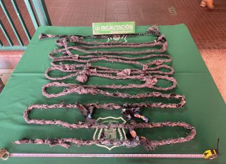 Frustran fuga desde Cárcel de Los Andes