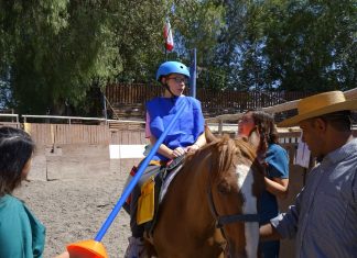 Rinconada desarrolla taller de equinoterapia