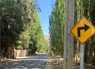 Piden lomos de toro en Los Molles