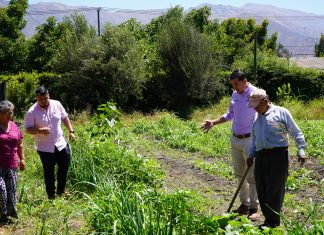 Panquehue: Programa Autoconsumo suma a 14 nuevas familias