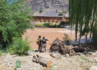 Siguen buscando a Michelle