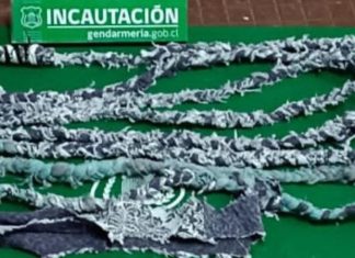 Gendarmería frustra fugas en Los Andes y en Valparaíso