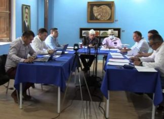 Rinconada: Aprueban compra de terreno para construir viviendas