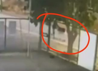 Sabemos qué hacen nuestros niños?