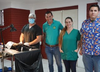 Esterilizan mascotas en Panquehue