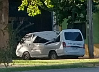 Municipalidad pagará furgón destruido por caída de rama