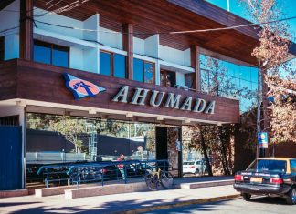 Evitan declarar alerta amarilla en Los Andes tras hallazgo de zancudo