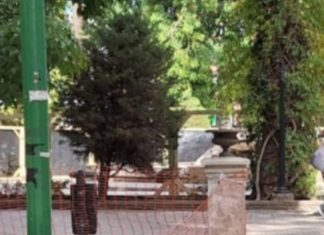 San Felipe: Comenzaron obras de nueva pileta de la plaza