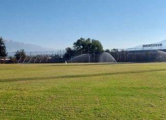 Avanza resiembra del Municipal de San Felipe