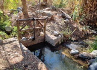 DGA ordena cierre de bocatomas hasta septiembre.