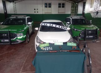 4 detenidos deja “tour delictual” por la Provincia de Los Andes