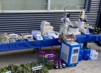 Tenían cultivo indoor y más de 59 mil dosis de marihuana