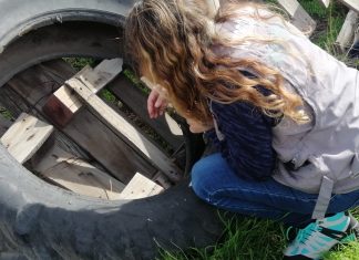 Nuevos hallazgos del vector Aedes Aegypti en Los Andes