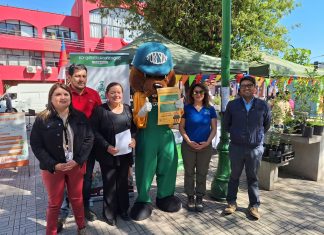 San Felipe: Municipalidad lanza campaña para evitar incendios forestales