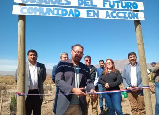 Santa María: Agrupación medioambiental recupera ribera del Río Aconcagua